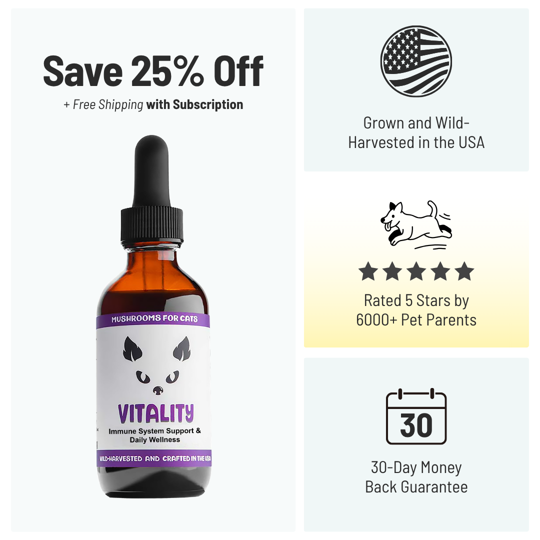 MycoCat Vitality