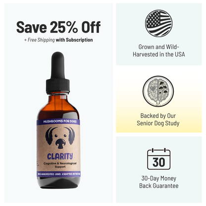MycoDog Clarity