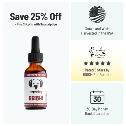 Reishi Mushrooms for Dogs