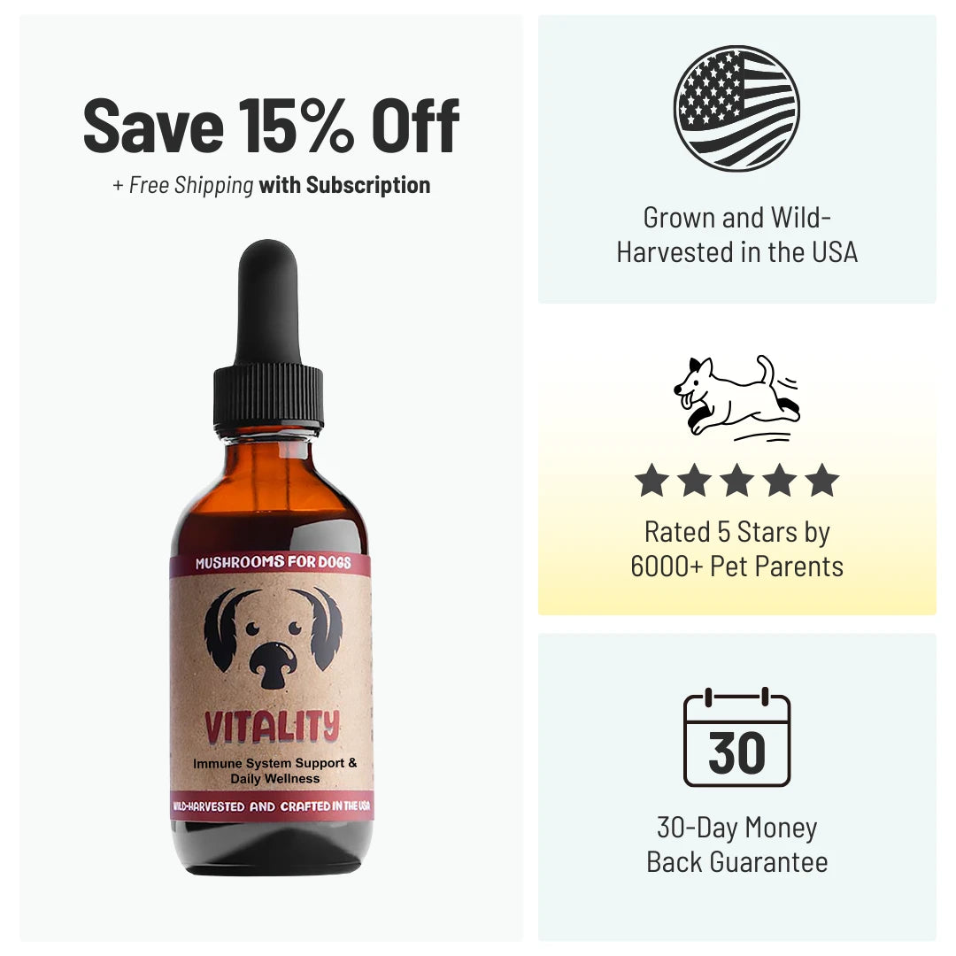 MycoDog Vitality mushroom tincture for dogs