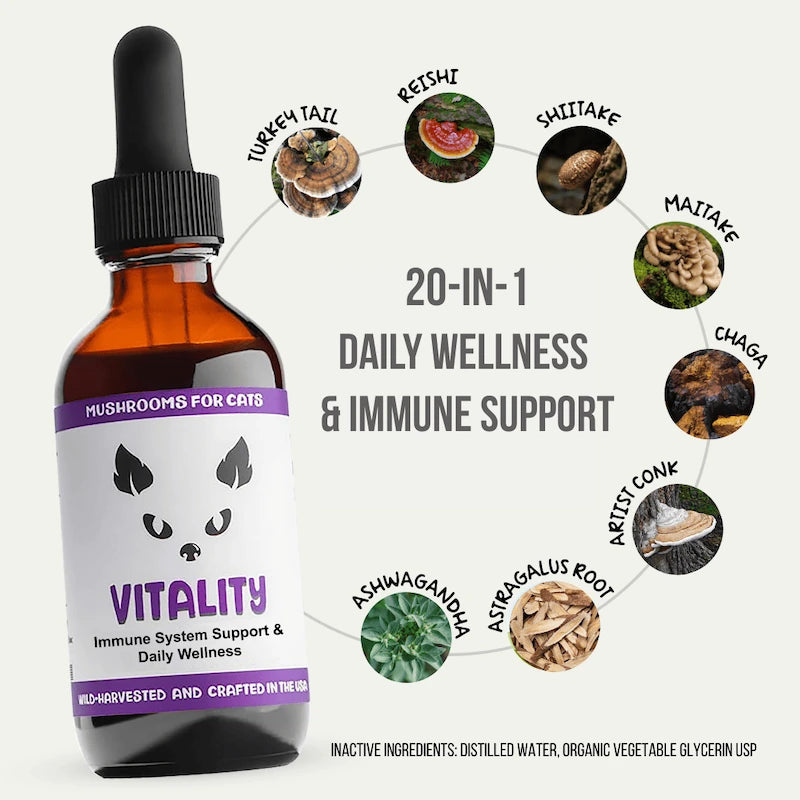 MycoCat Vitality