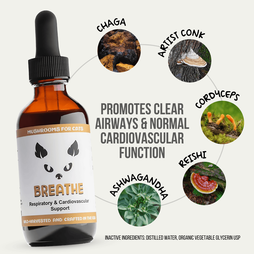 MycoCat Breathe tincture for cats, featuring ingredients like Chaga, Artist Conk, Cordyceps, Reishi, and Ashwagandha, designed to support healthy respiratory and heart function. Wild-harvested and crafted in the USA.