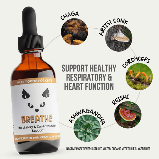 MycoCat Breathe tincture for cats, featuring ingredients like Chaga, Artist Conk, Cordyceps, Reishi, and Ashwagandha, designed to support healthy respiratory and heart function. Wild-harvested and crafted in the USA.