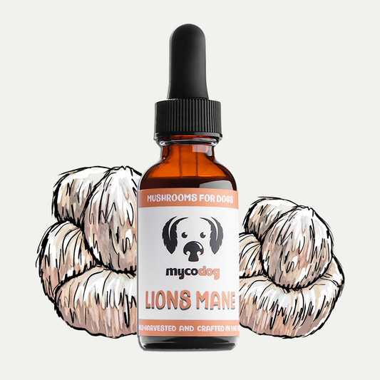 MycoDog Lion's Mane mushroom tincture for dogs with illustrated mushrooms