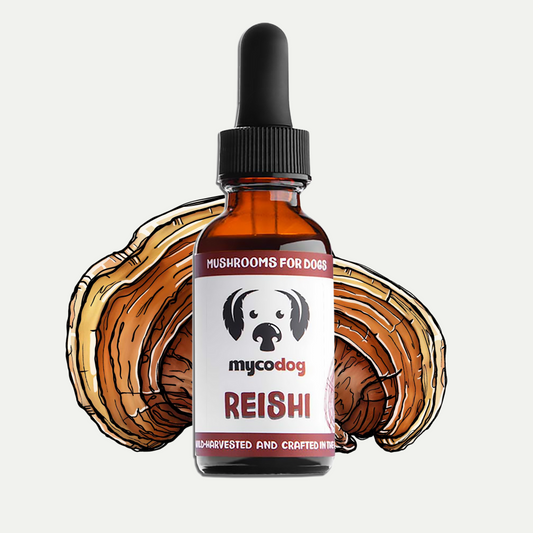 MycoDog Reishi mushroom tincture for dogs with illustrated mushrooms