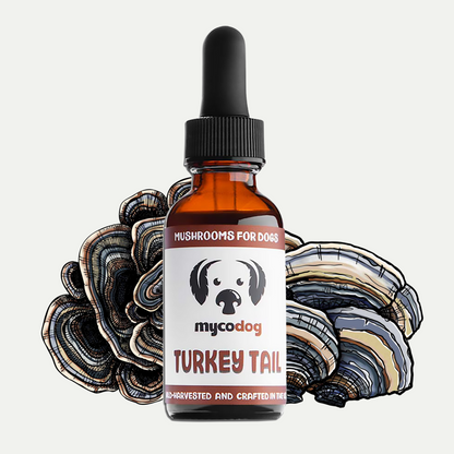 MycoDog Turkey Tail mushroom tincture for dogs with illustrated mushrooms