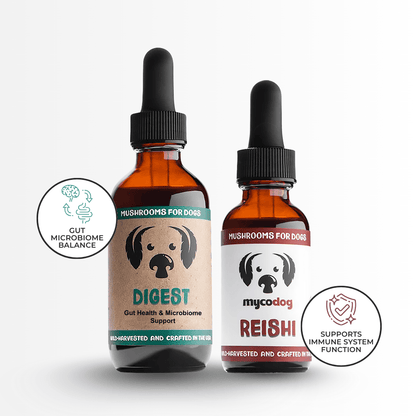 Digestive Harmony Bundle