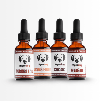 MycoDog Essentials Bundle