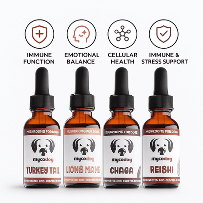 MycoDog Essentials Bundle