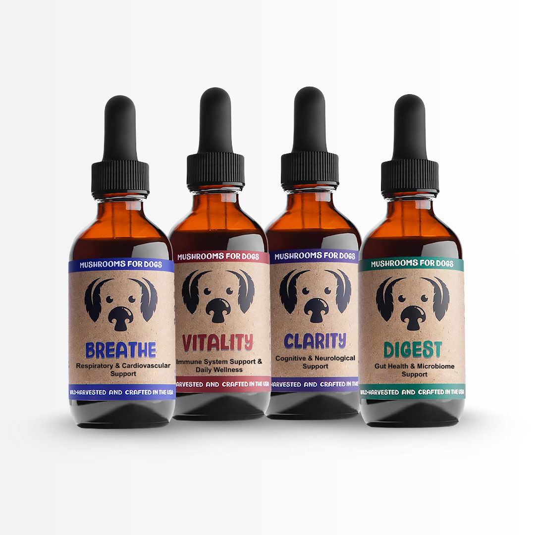 Complete Wellness Bundle