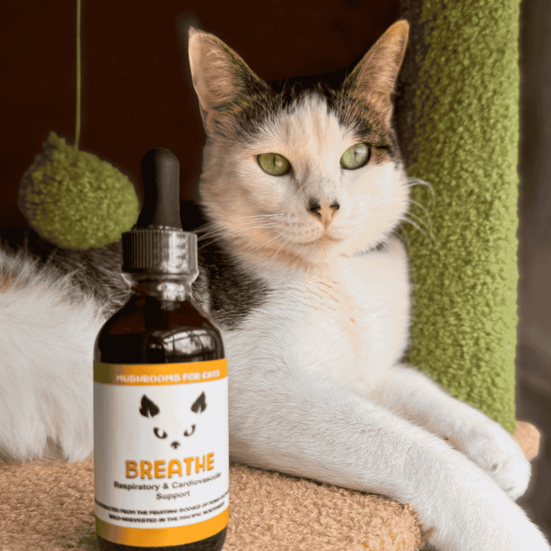 MycoCat Breathe