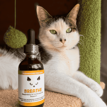 MycoCat Breathe