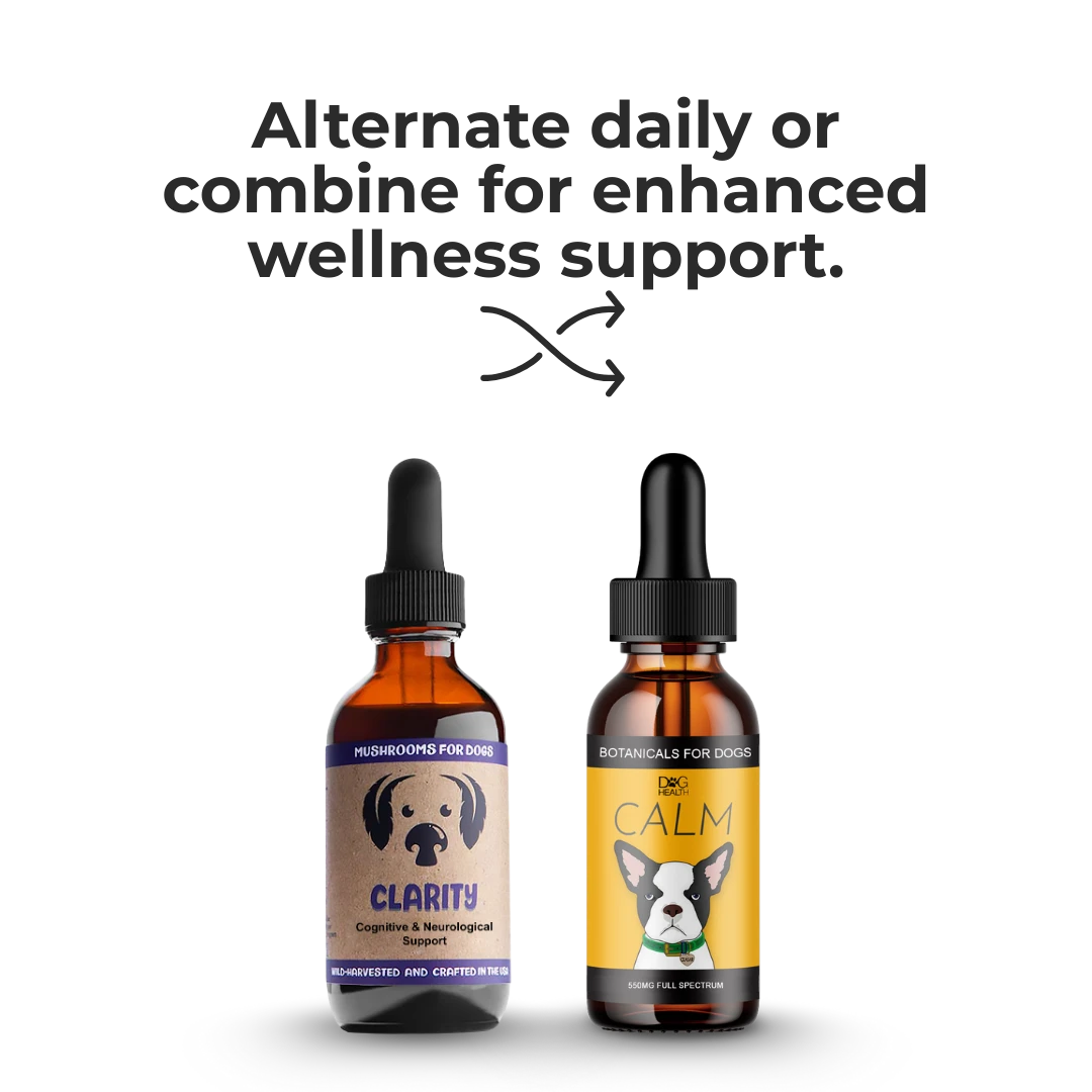 Calm & Clarity Bundle