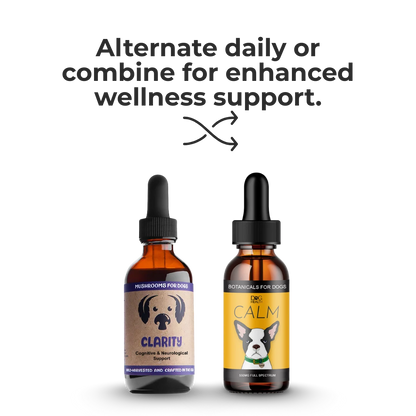 Calm & Clarity Bundle