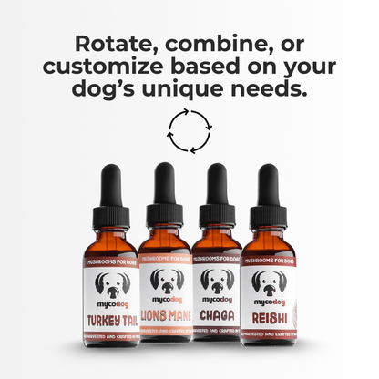 MycoDog Essentials Bundle