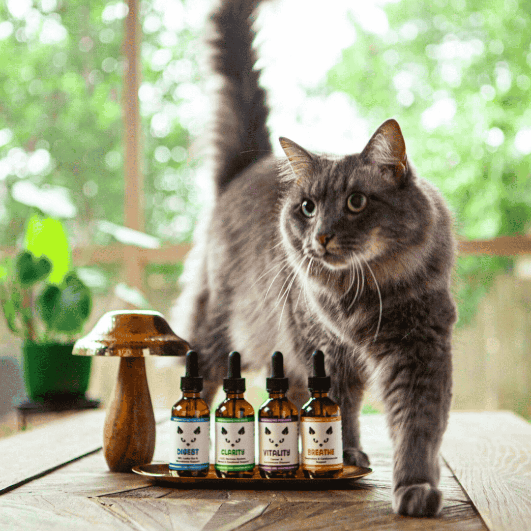 MycoCat Clarity