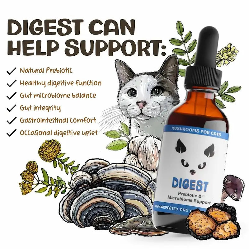 MycoCat Digest