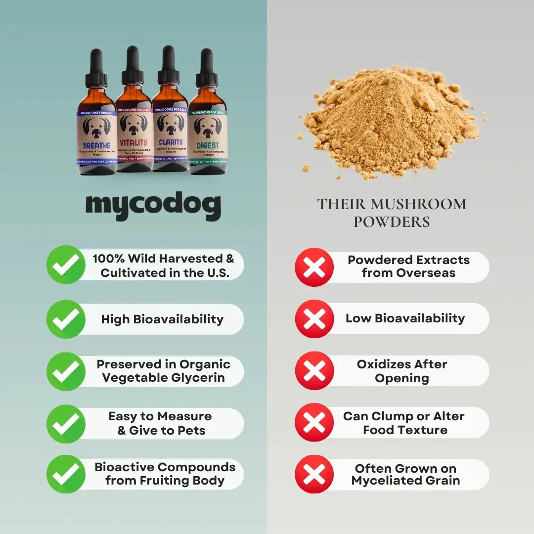A marketing comparison graphic for mycodog mushroom powder. The left side shows four amber dropper bottles labeled mycodog Pet Health, with green checkmarks listing benefits like wild harvesting and organic glicerine.