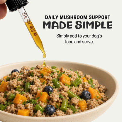 A close-up of a dog food bowl filled with cooked ground meat, green beans, blueberries, and orange vegetable pieces, with a hand holding a glass dropper above the bowl. Text on the image reads 'DAILY MUSHROOM SUPPORT MADE SIMPLE' and 'Simply add to your dog's food and serve.