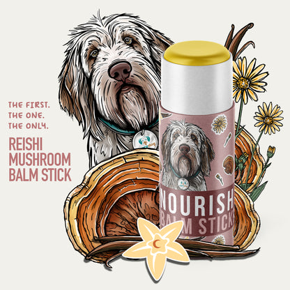 Reishi mushroom balm stick for dogs paw balm 