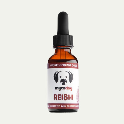 Reishi Mushrooms for Dogs