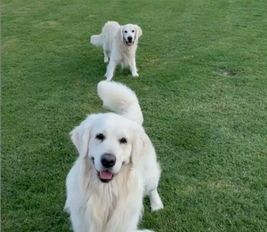 Annie and Maverick