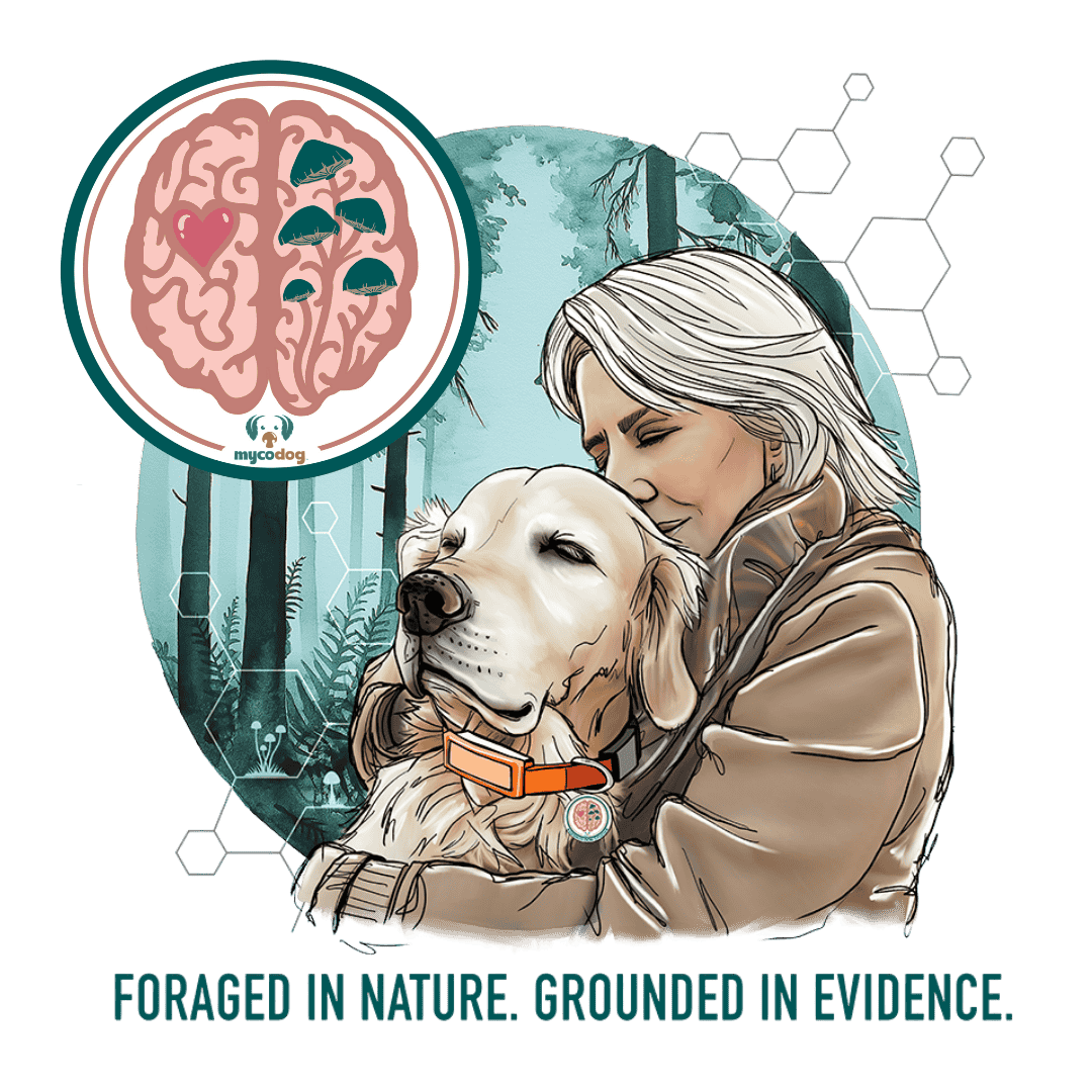 The Senior Dog Study, Foraged in Nature, Grounded in Evidence