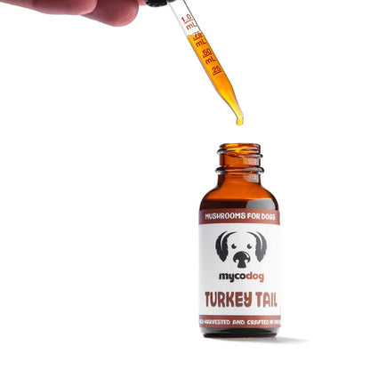 MycoDog Turkey Tail Single Extract mushroom tincture for dogs with dropper