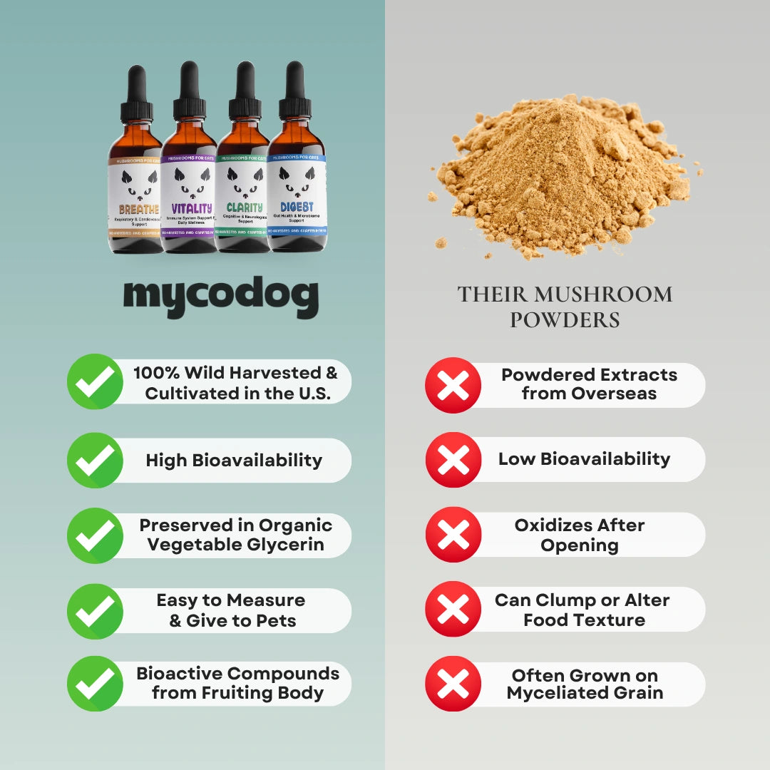 MycoCat Breathe