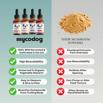 Reishi Mushrooms for Dogs