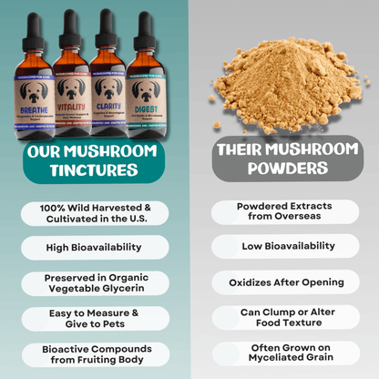 Cognitive Harmony Bundle