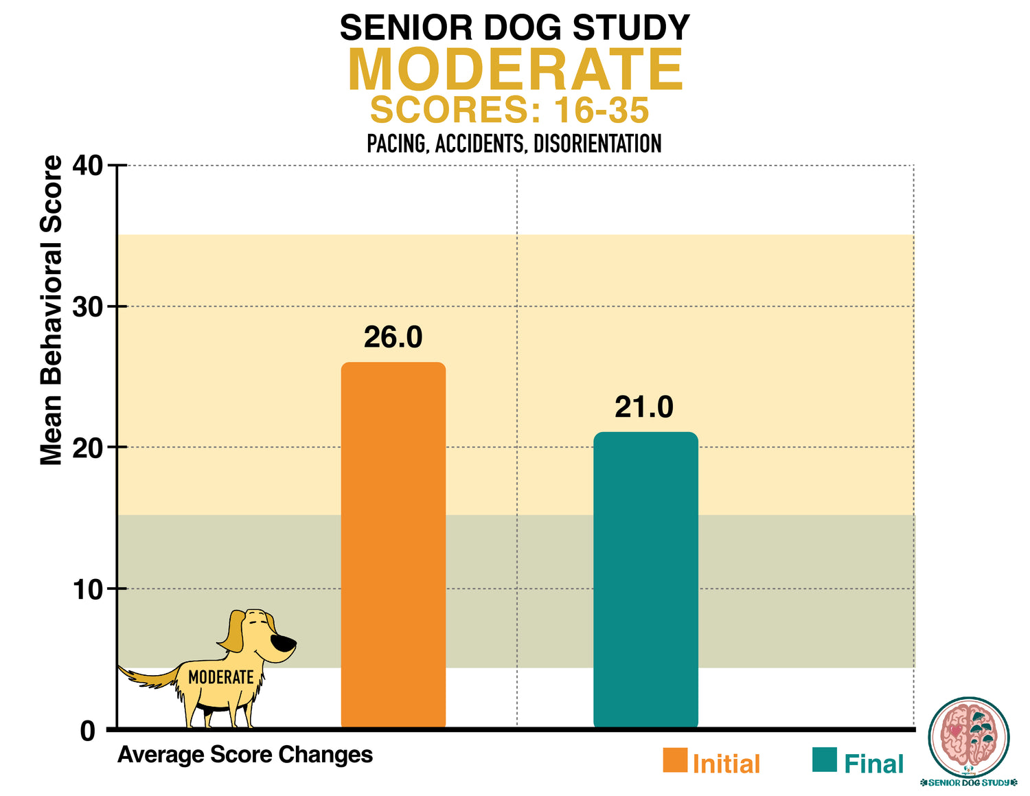 Senior Dog Study Moderate cases
