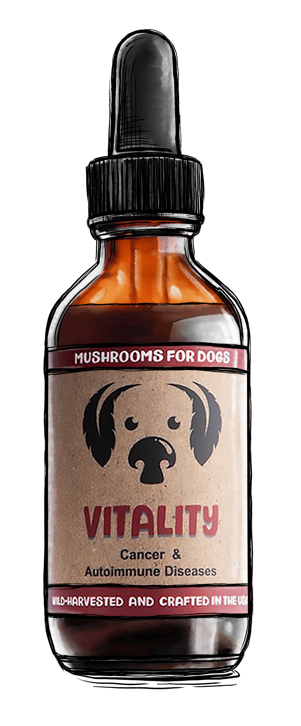 MycoDog Vitality Mushrooms for Dogs with Cancer autoimmune disease immune support