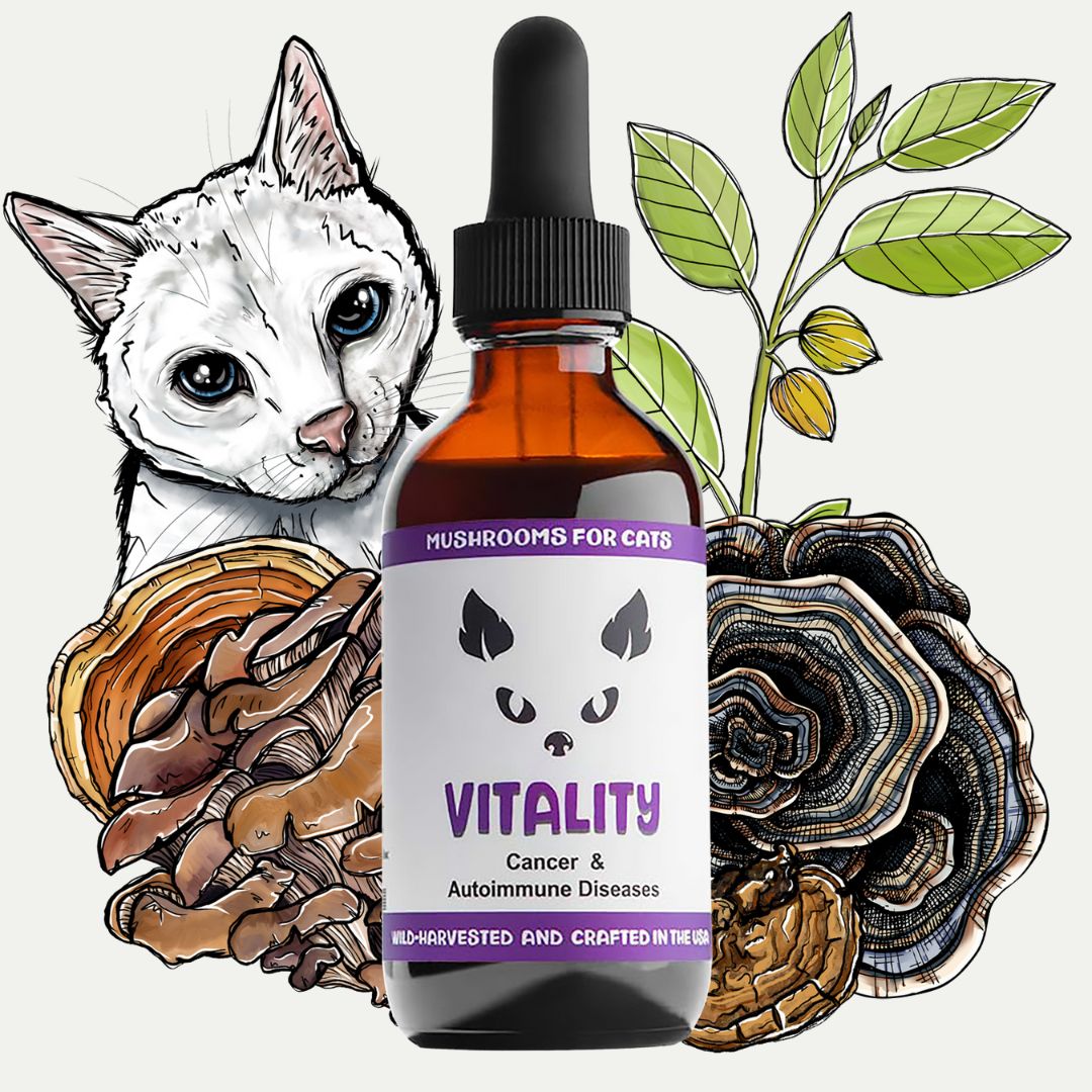 Vitality by MycoCat Mushrooms for Immune Support MycoDog