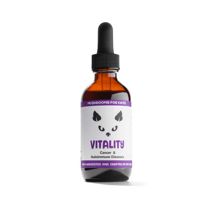 Vitality cat mushroom tincture by MycoCat for cancer and autoimmune diseases support, featuring Reishi, Turkey Tail, and Maitake mushrooms.