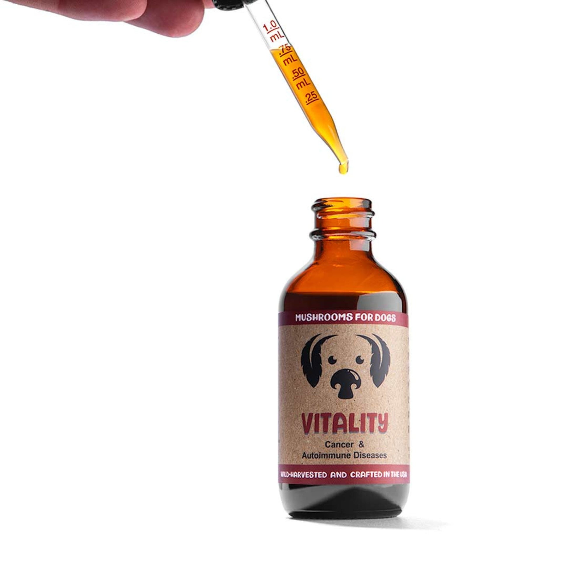 Vitality dog mushroom tincture by MycoDog for cancer and autoimmune diseases support, featuring Reishi, Turkey Tail, and Maitake mushrooms.