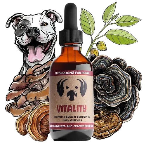 Liver Health & Detox Support