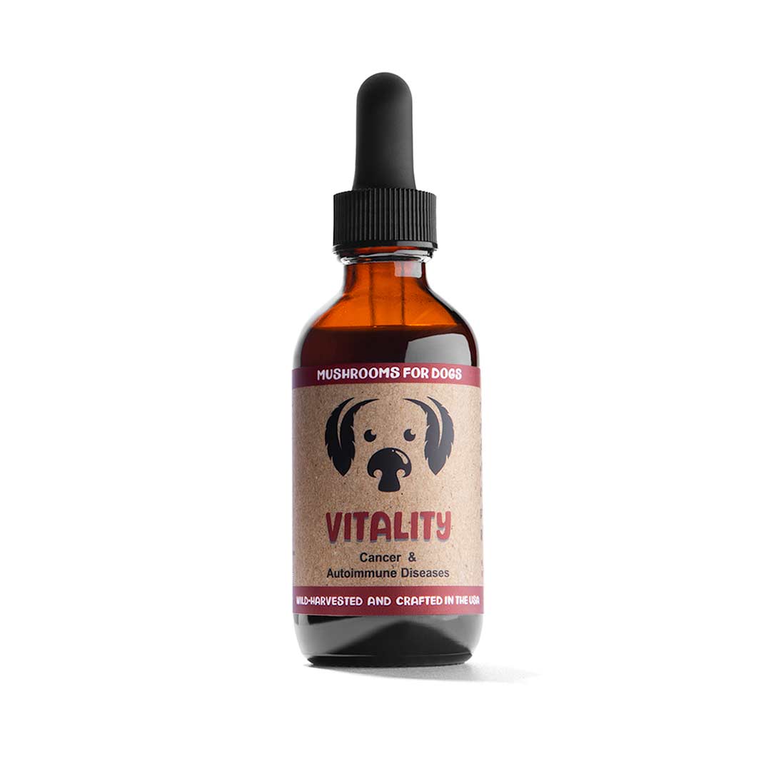 Vitality dog mushroom tincture by MycoDog for cancer and autoimmune diseases support, featuring Reishi, Turkey Tail, and Maitake mushrooms.