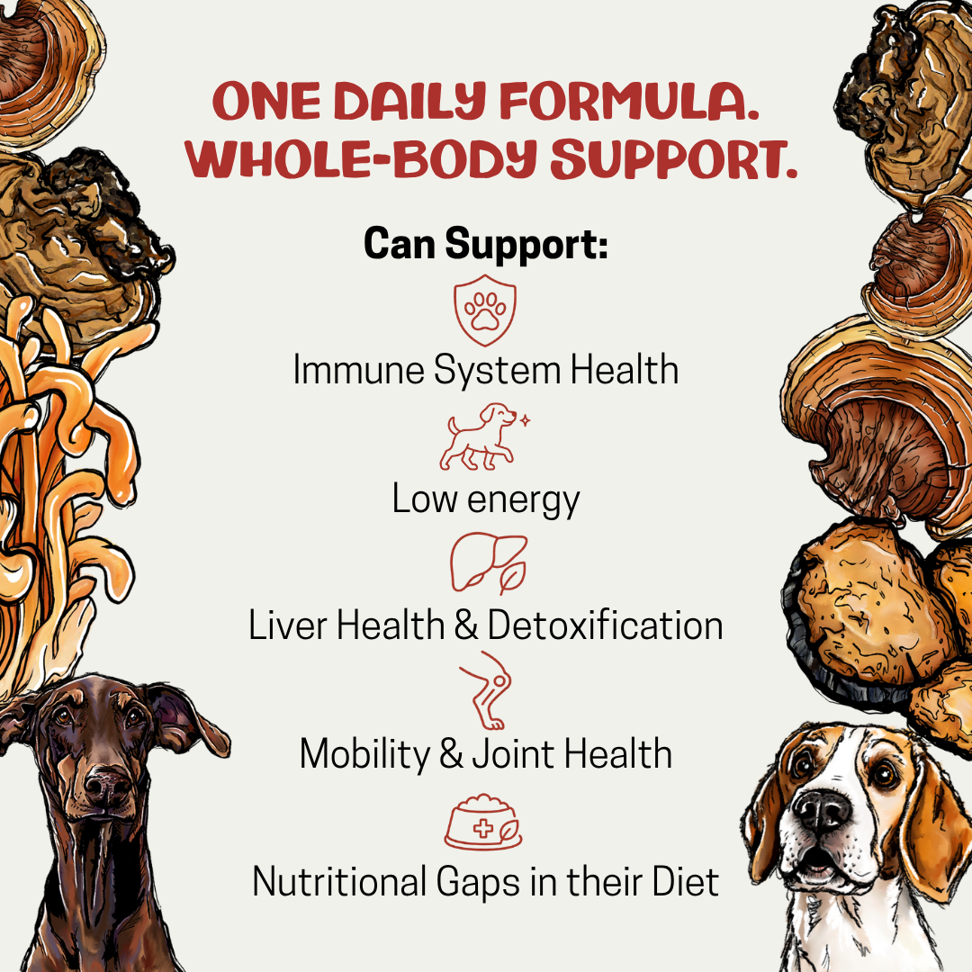 Promotional graphic for a dog supplement featuring the text 'ONE DAILY FORMULA. WHOLE-BODY SUPPORT.