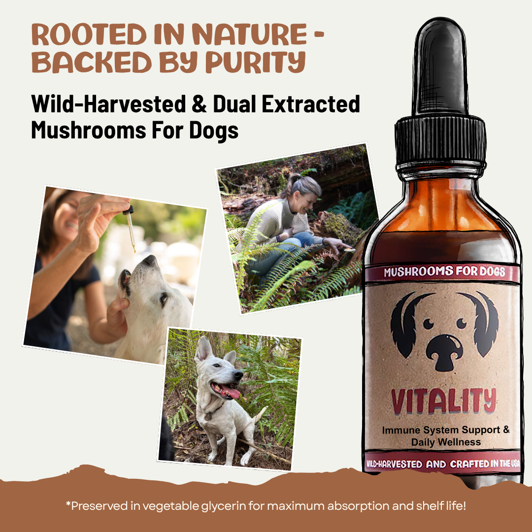 MycoDog Vitality