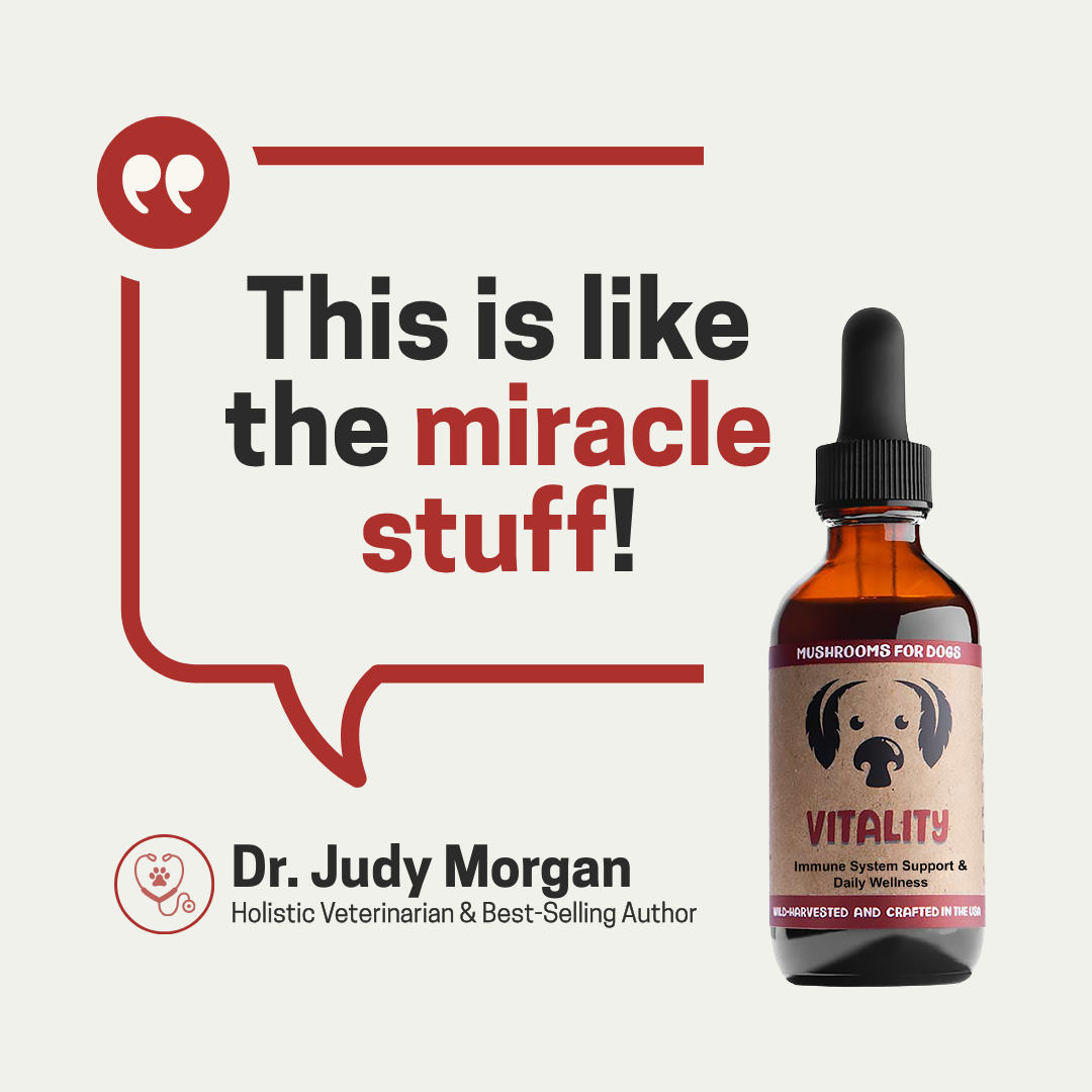 MycoDog Vitality