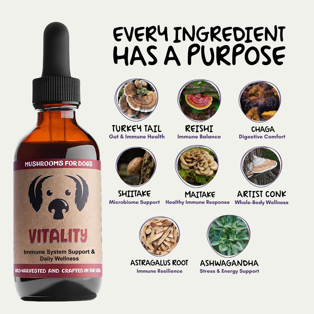 MycoDog Vitality
