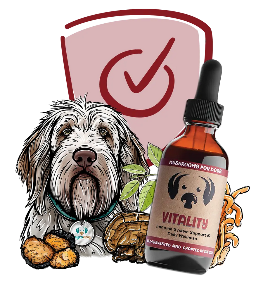 Pure Potency You Can Trust