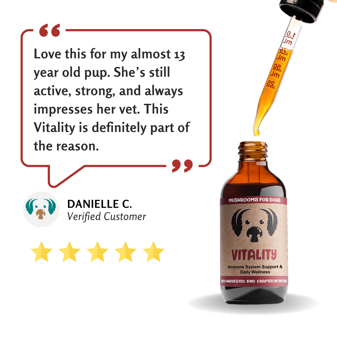 MycoDog Vitality