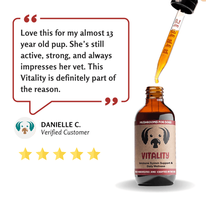 MycoDog Vitality