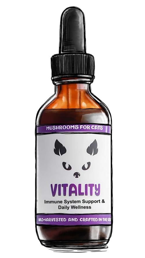 Bottle of 'Vitality' supplement for cats with a dropper on a white background