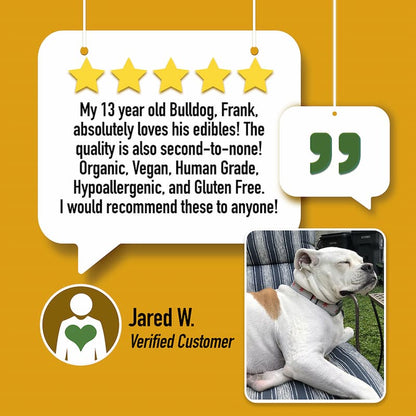 Blanche’s Edibles: Dog Treats
