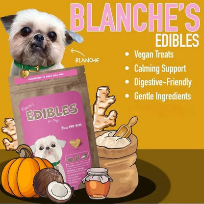 Senior Dog Wellness Bundle