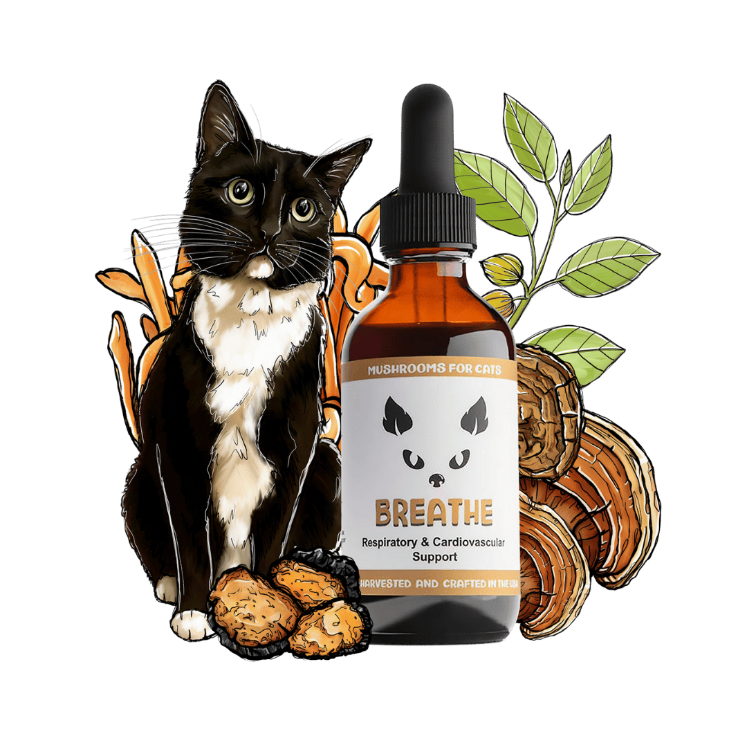 Breathe cat pet mushroom tincture by MycoCat for respiratory health, featuring a blend of medicinal mushrooms tailored for cats.