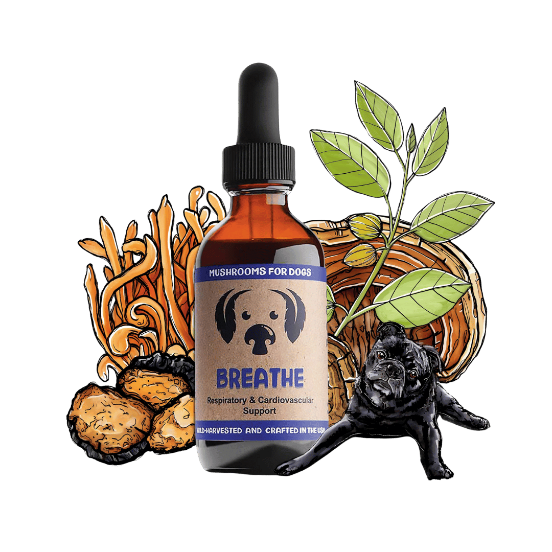 Breathe dog pet mushroom tincture by MycoDog for respiratory health, featuring Turkey Tail, Chaga, and other beneficial mushrooms.